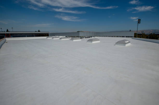 Best Emergency Roof Repair Services  in Forest Park, OH